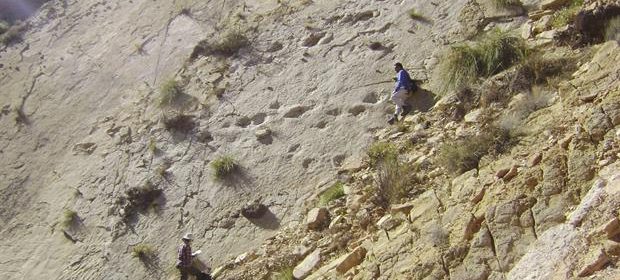 Hallan en la Quebrada de Humahuaca huellas de dinosaurios de hace 66 millones de años