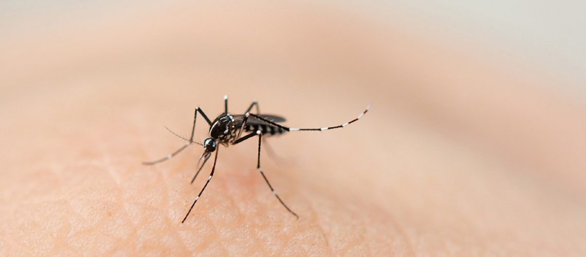 Dengue: cinco muertes y miles de casos confirmados
