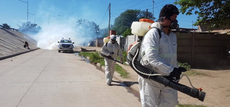 La Dirección de Salud del municipio indicó que los mosquitos que proliferan no es la especie que transmite el dengue
