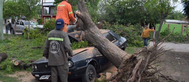 La Municipalidad desplegó todas las áreas operativas para trabajar en los daños ocasionados por temporal
